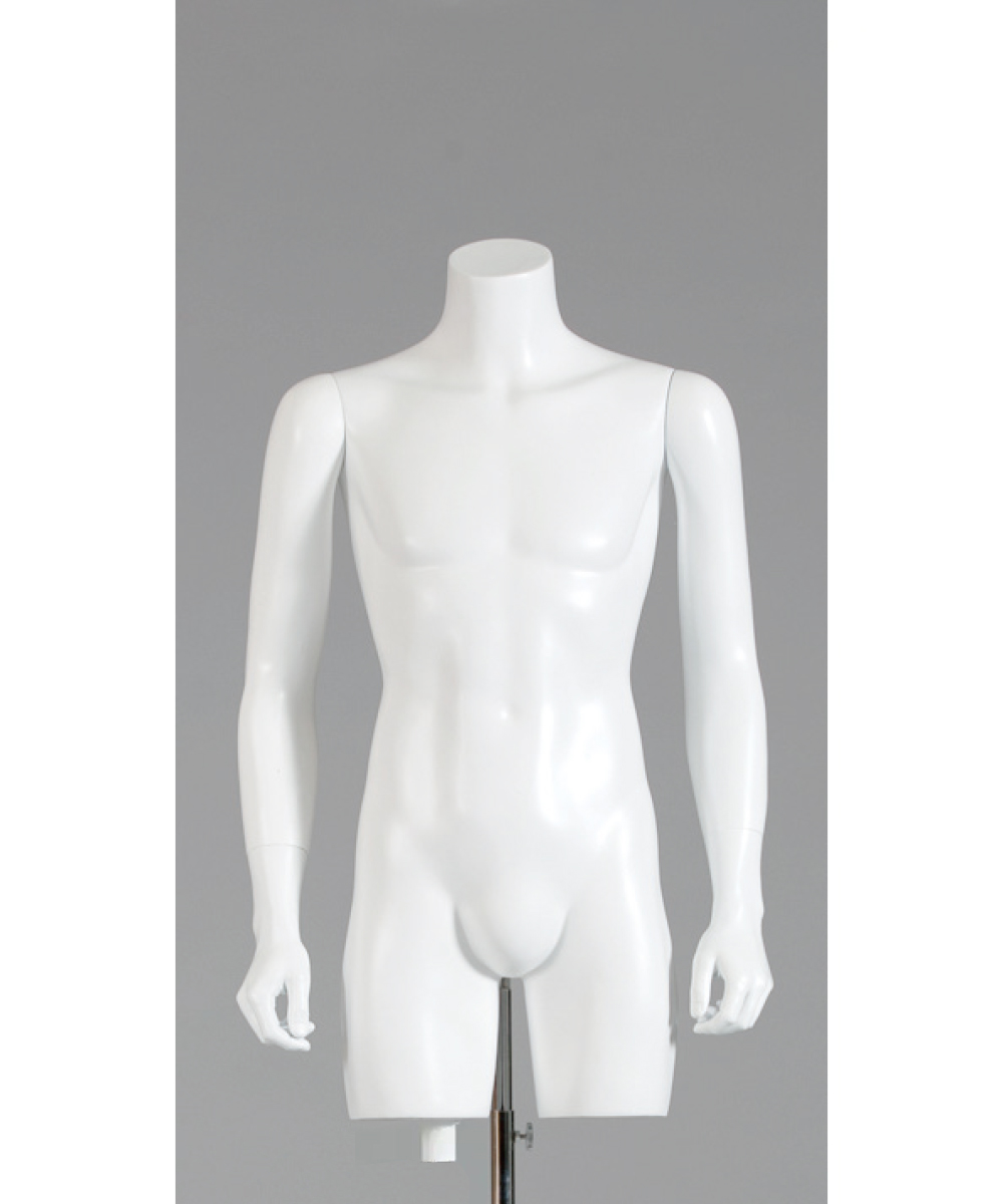 紳士背面トルソー MT262｜トルソー（FRP）レンタルならアディスミューズ