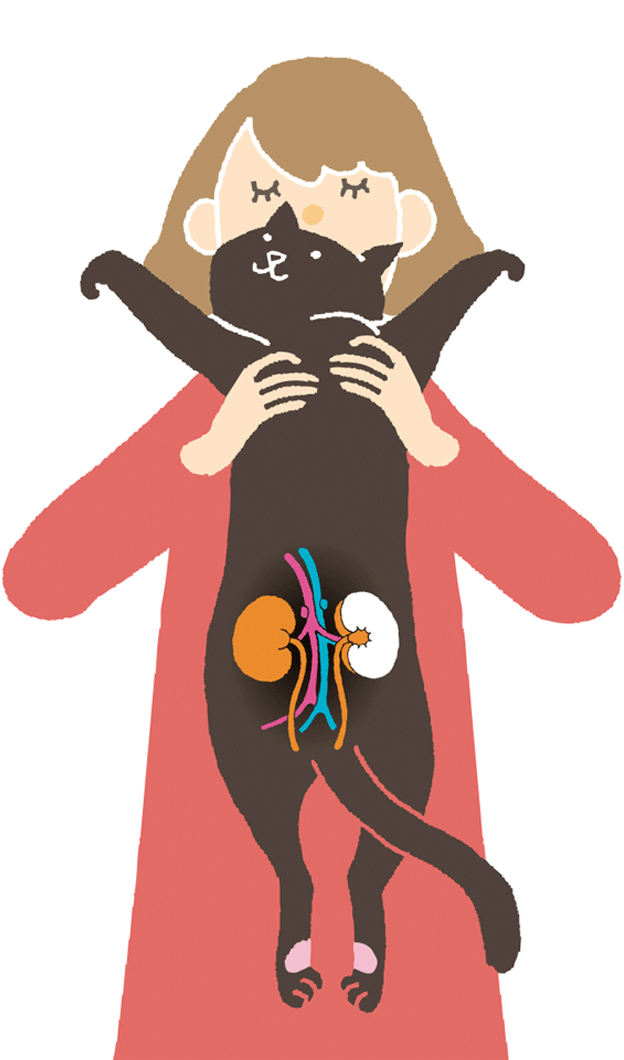 商品ラインナップ｜猫の腎臓病ケアや予防｜国産 健康缶パウチ 腎活