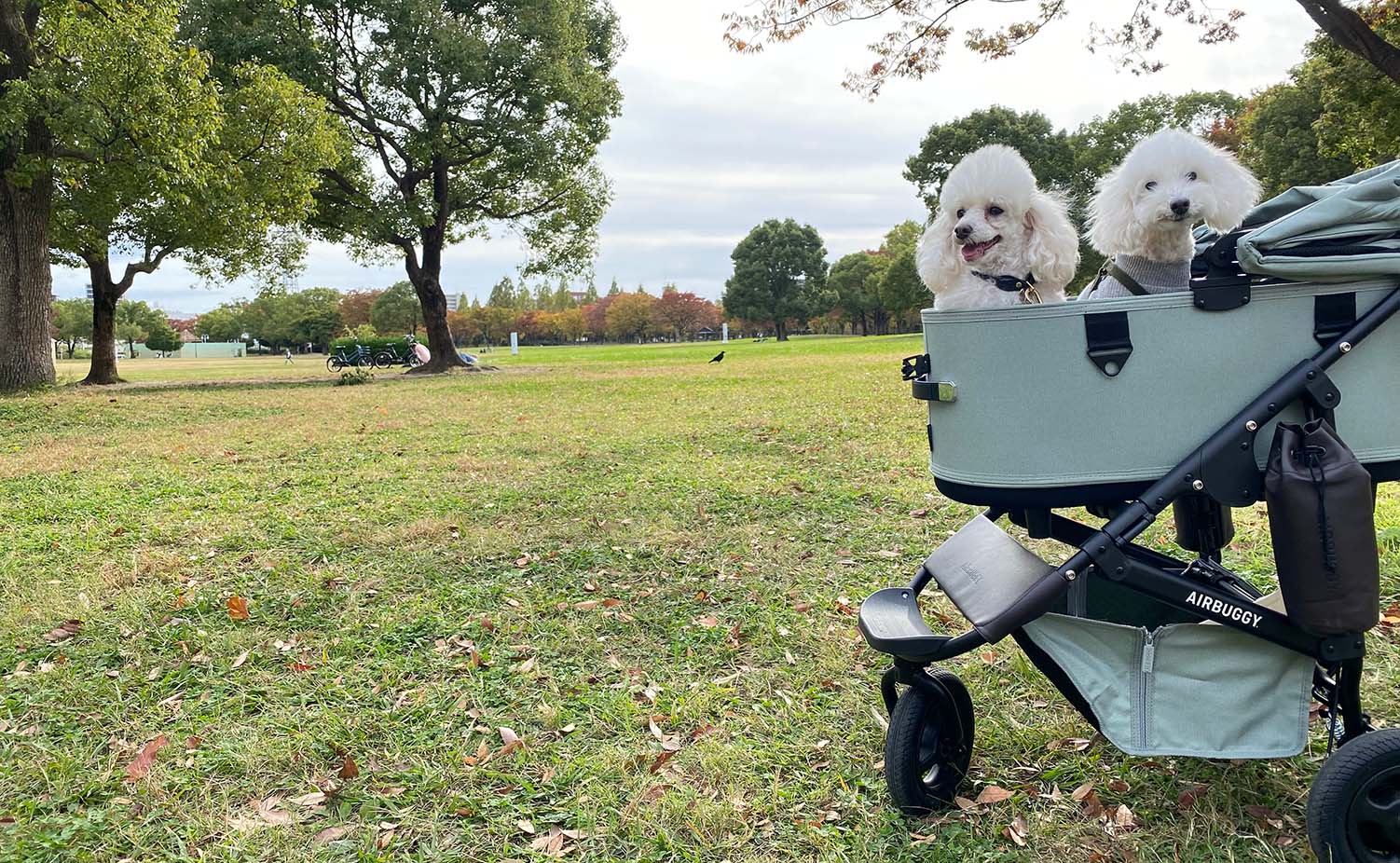 03：花博記念公園鶴見緑地 - AIRBUGGY FOR PET | ペットカートのエアバギー