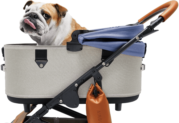 進化したDome3 - AIRBUGGY FOR PET | ペットカートのエアバギー