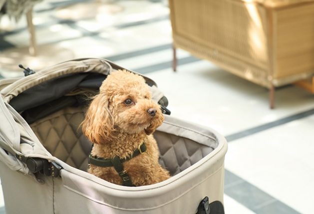 新品☆エアバギー AirbuggyWizXパールホワイトペットカートバギー早勝