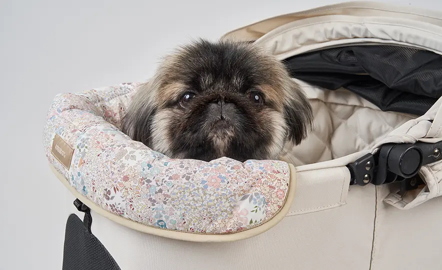 英国リバティプリント・リバーシブル仕様のCORNER CUSIONが数量限定で