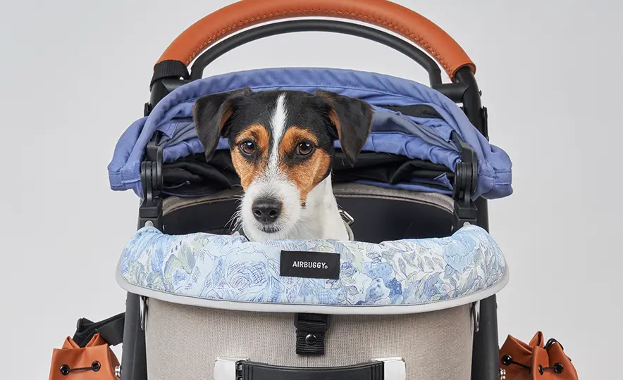 英国リバティプリント・リバーシブル仕様のCORNER CUSIONが数量限定で