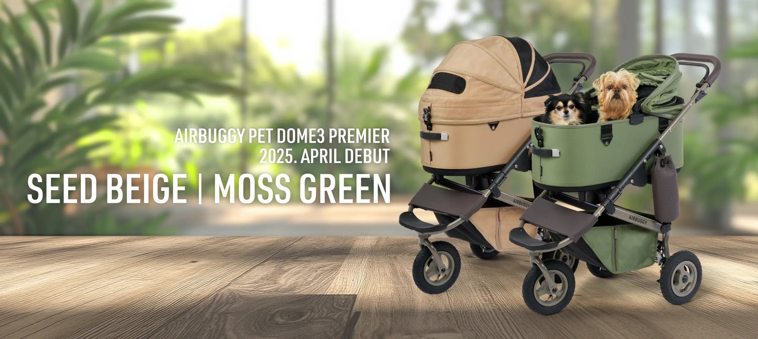 LIMITED EDITION』 DOME3 PREMIER LARGE シードベージュ＆モスグリーン