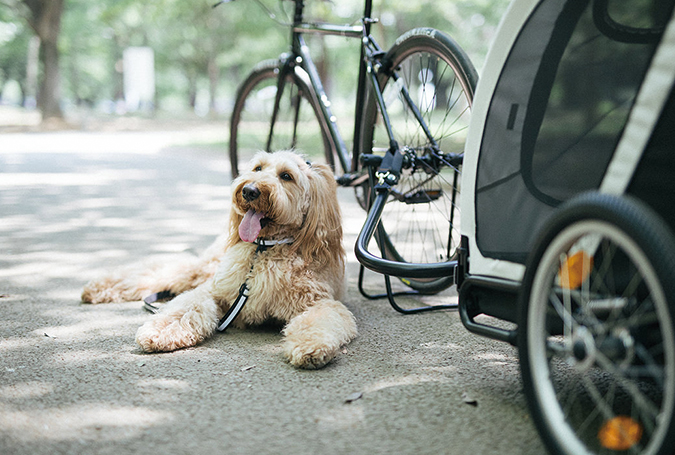 NEST BIKE | AIRBUGGY FOR PET