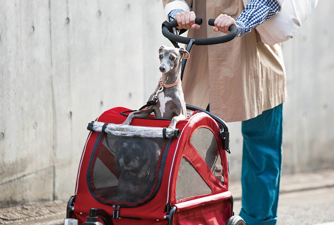 TWINKLE | AIRBUGGY FOR PET