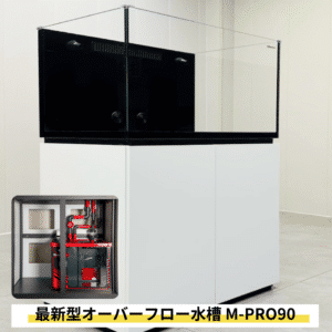 90cmオーバーフロー水槽をお探しならこれが最適解！海水専門店が設計