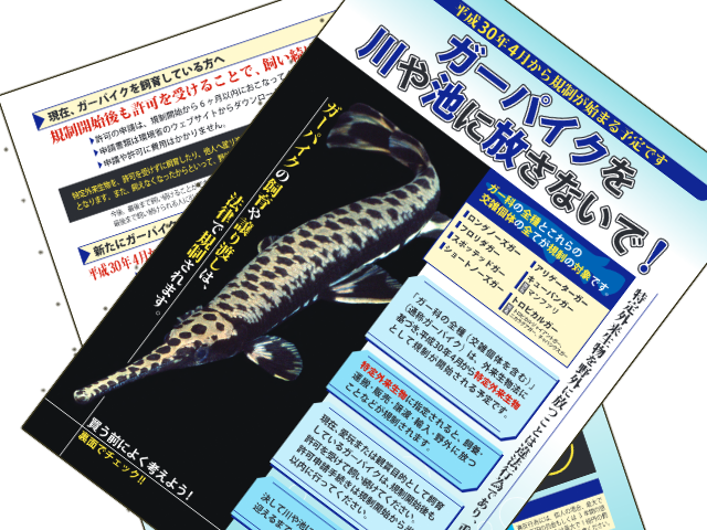 2018年4月から始まるガーの規制についてのまとめ – アクアハーミット