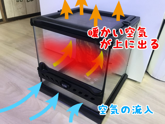 グラステラリウム4545 コンパクトトップ パネルヒーターセット グラス