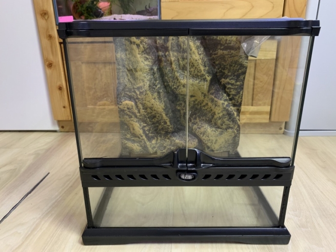 EXO TERRA 3030 ミニワイドグラステラリウム ジェックス エキゾテラ