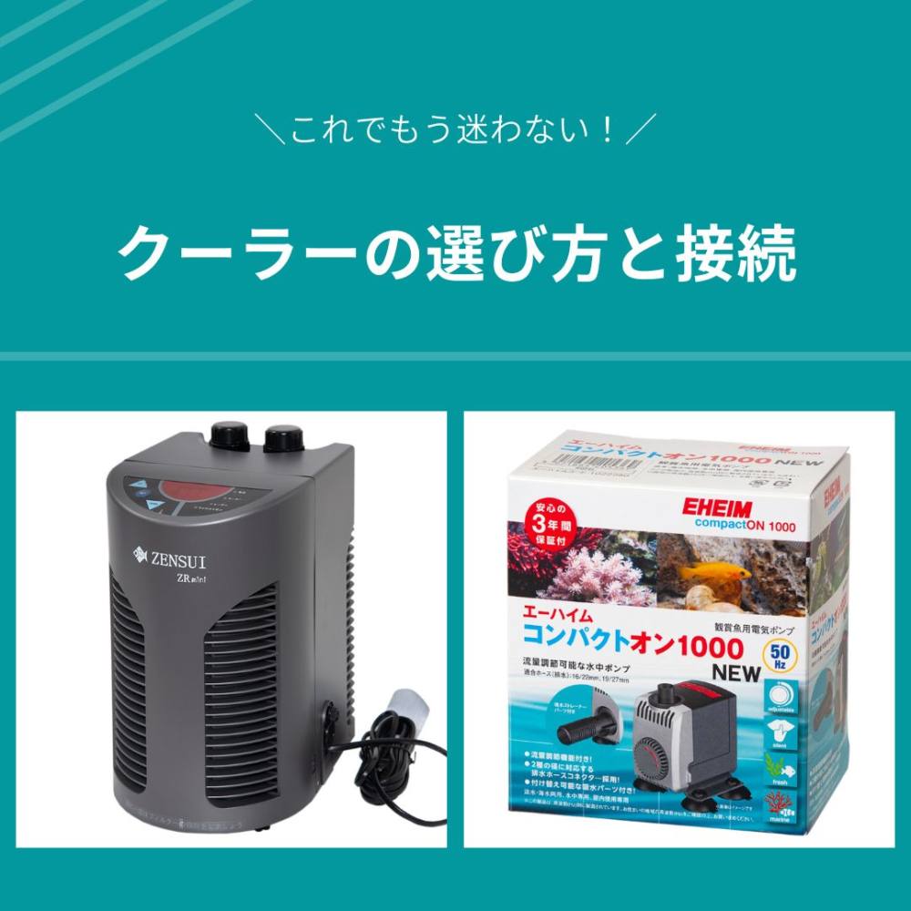 これでもう迷わない！クーラーの選び方と接続 | AQUALASSIC