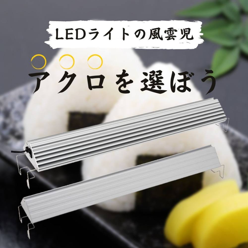 アクロトライアングルグロウセット アクロ トライアングルグロウ600 2