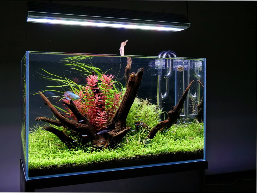 ADA AQUASKY MOON 451（W45cm用 ガラス厚5㎜対応） ADA AQUASKY MOON