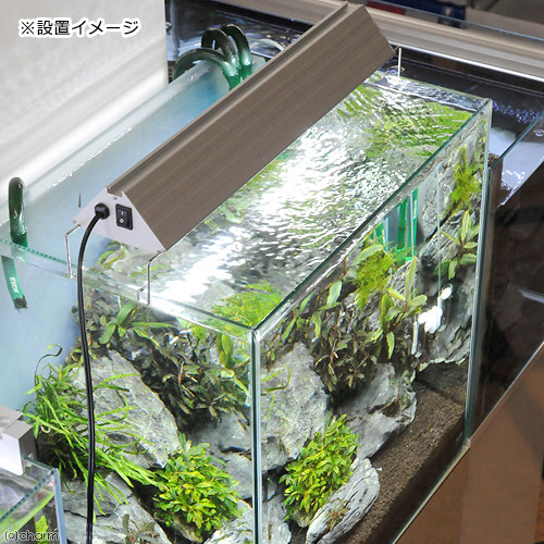 最強光量 アクロ トライアングルGrow グロウ Pro 600 8900lm アクロ