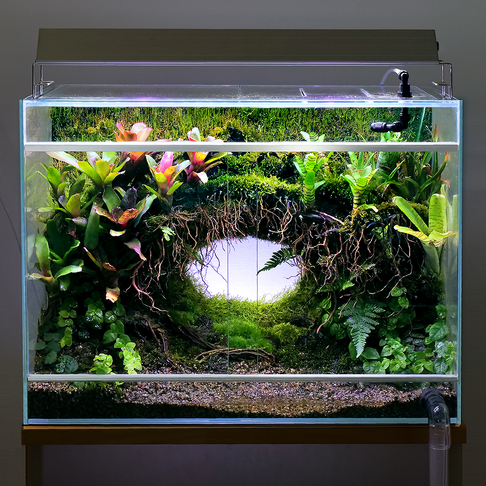 40cmイモリウム テラリウム パルダリウム水槽 40cmイモリウム