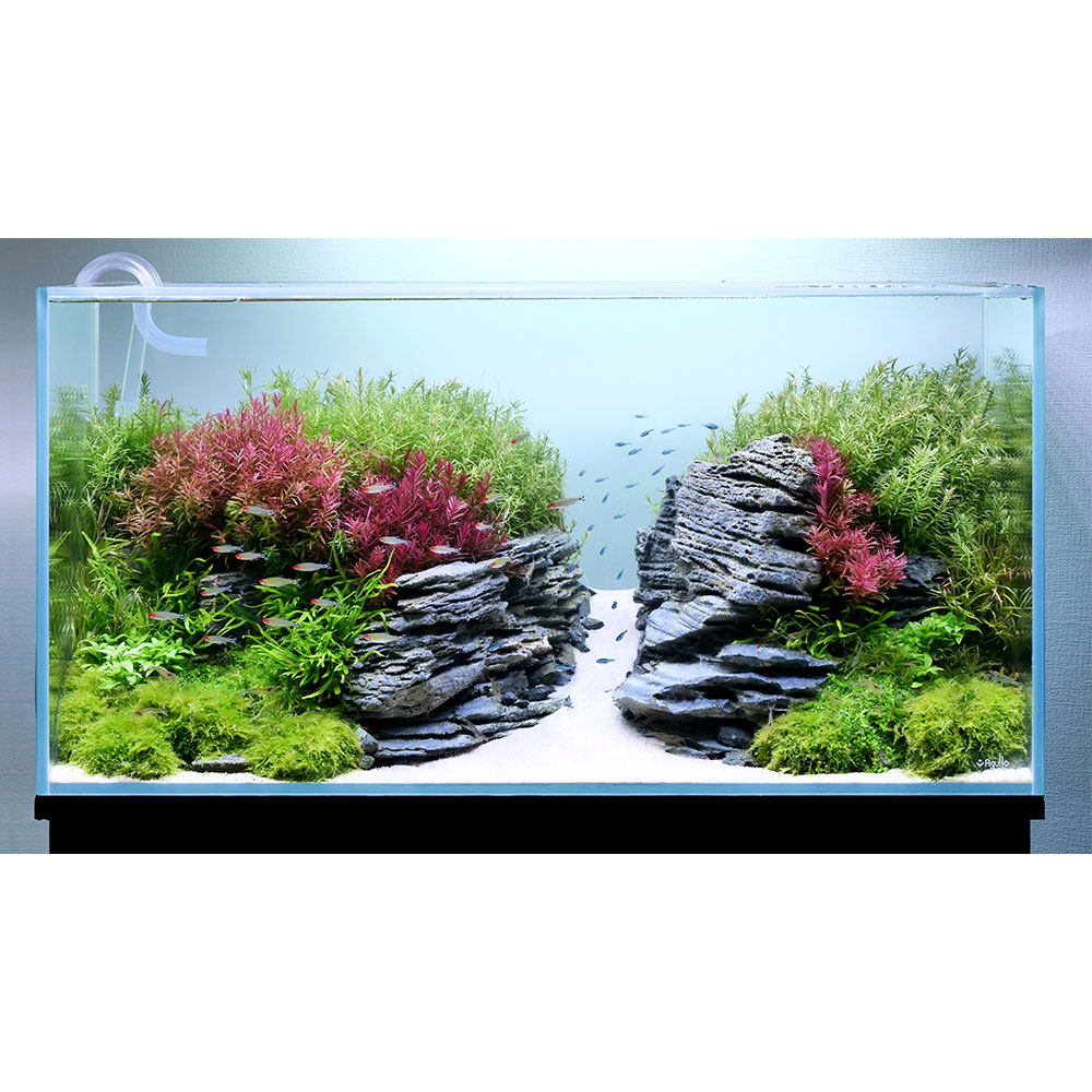 90センチ水槽フルセット+90センチ水槽+その他