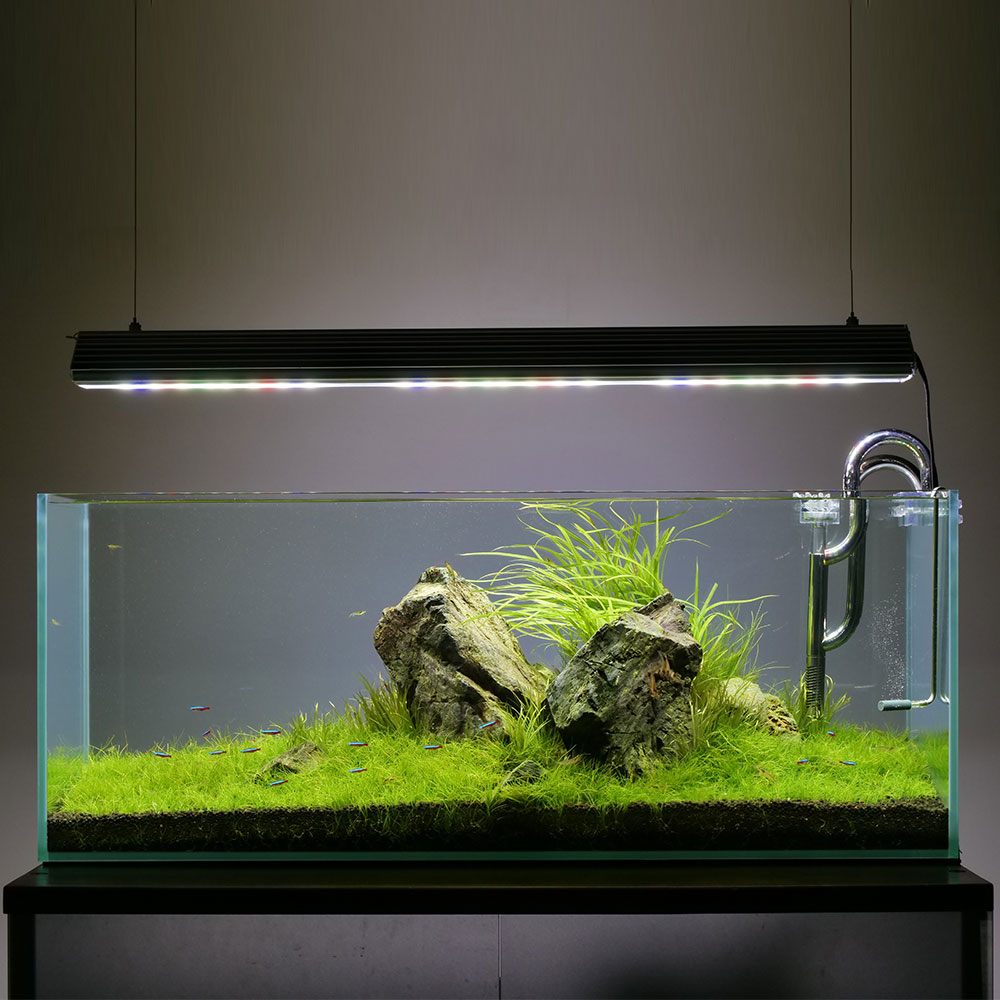 水槽 90cm W90×D45×H45 厚み10mm 水槽 90cm W90×D45×H45