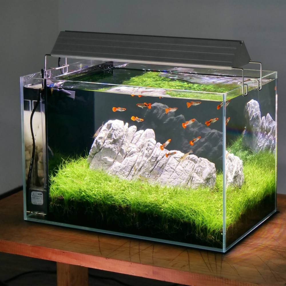 90センチ水槽にピッタリ！背面濾過槽 スキマー効率強化！