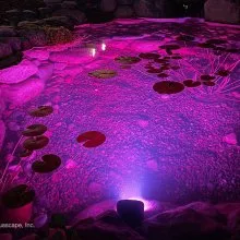 Color-Changing Wide-Angle Light 11-Watt - Aquascape, Inc.