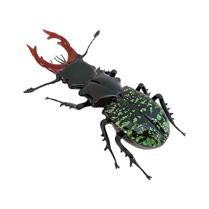 ガラス細工ヴィットリオ・コスタンティーニ作クワガタムシ鑑定団出演