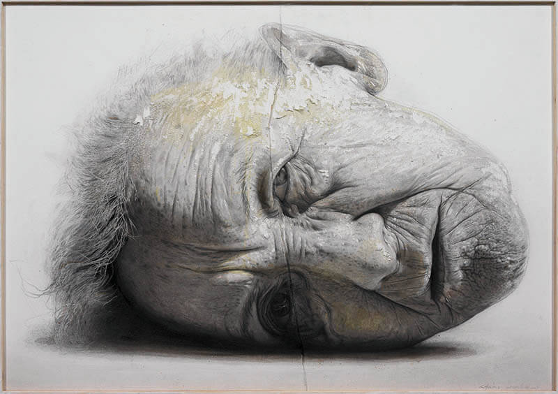 ホキ美術館×MEAM 日本とスペインの現代写実絵画 超写実展－リアルを