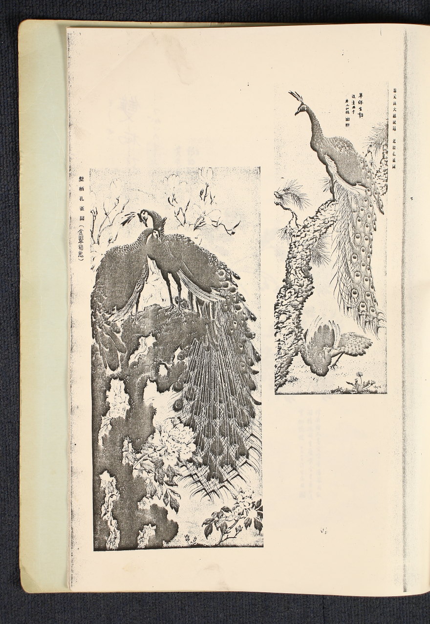 掛軸 骨董 江戸時代 n33