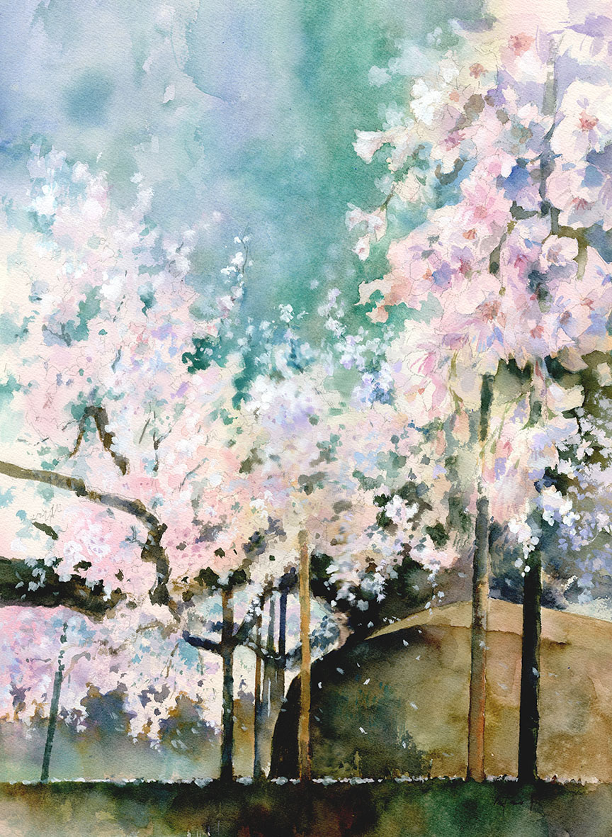 水彩画・風景画・満開の桜・自筆 満開の桜 | Yukari.Tanemura