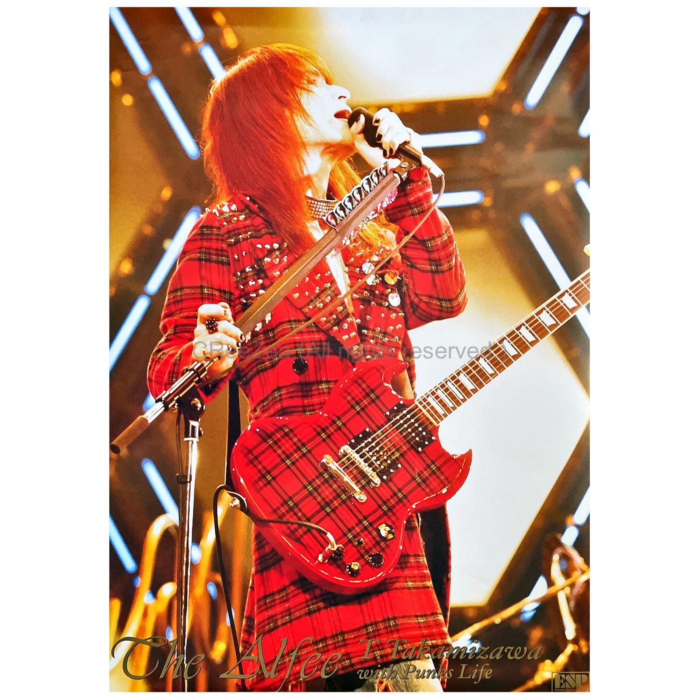 the ALFEE アルフィーメンバー写真時代年代物【17】高見沢俊彦 豹柄 断