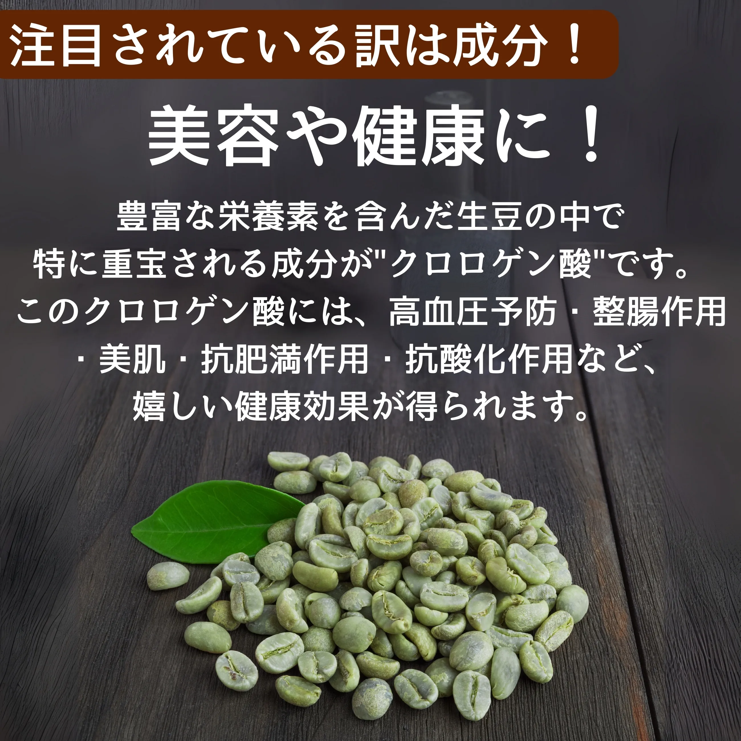 グリーンコーヒー】【無農薬】【オーガニック】【次世代珈琲】のと緑