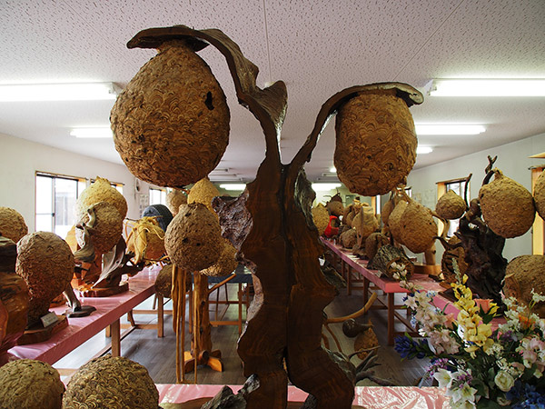 蜂天国(長野県東御市)で巨大蜂の巣を堪能した | 日記 - [ありの木]