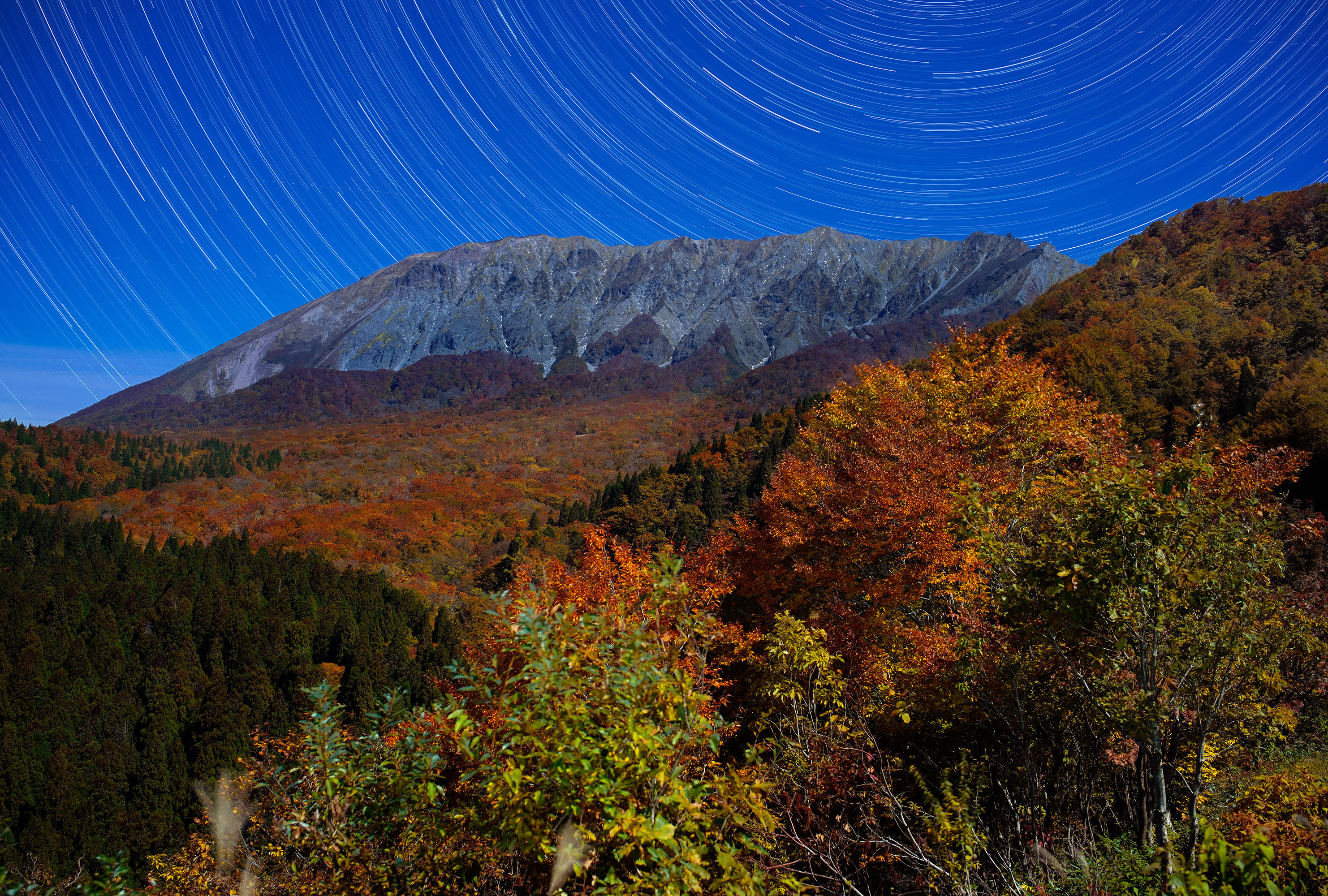こころの風景コレクション【谷田穎郎 大山の紅葉（鍵掛峠）】60％お
