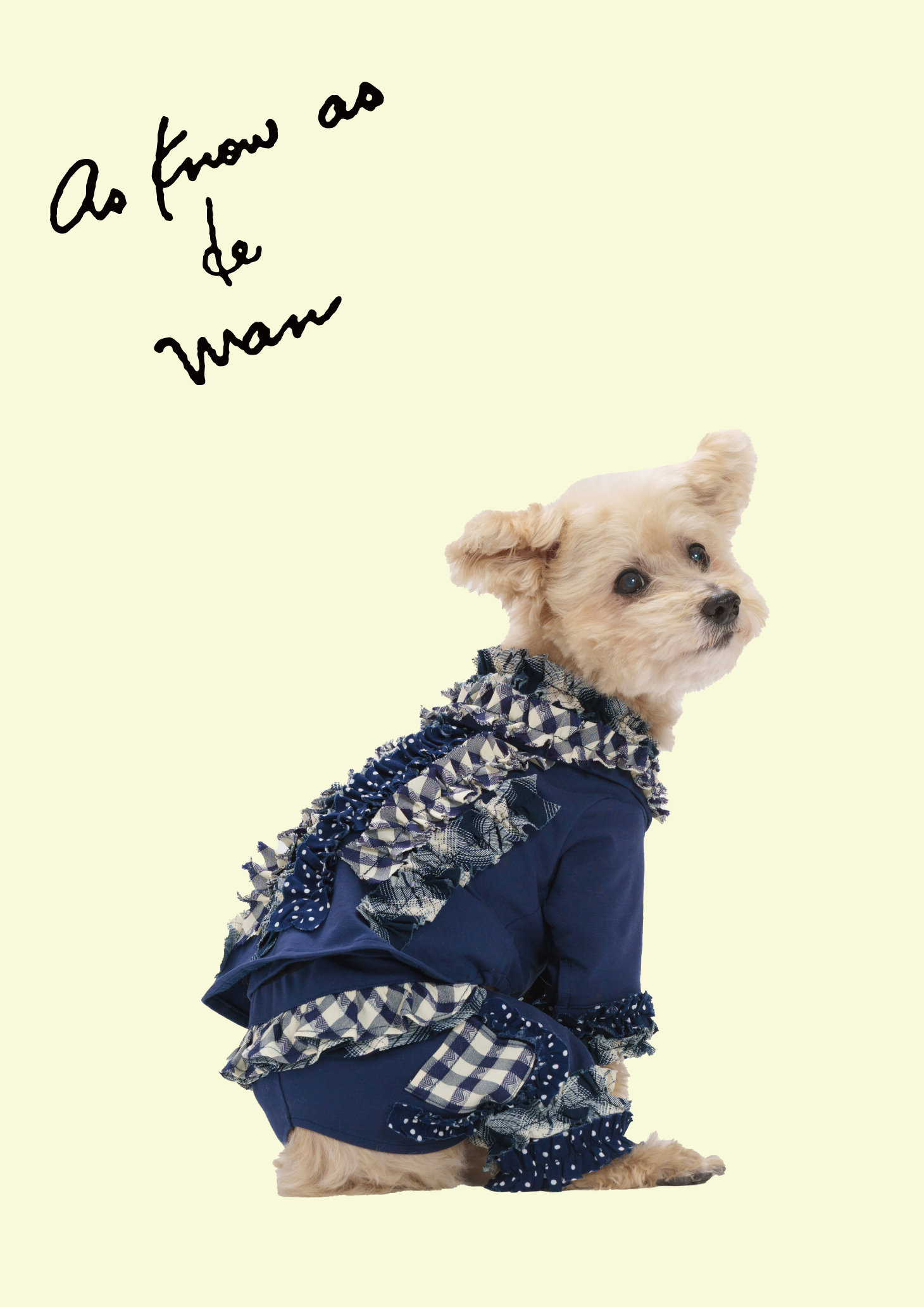 アズ ノゥ アズ デ ワン - AS KNOW AS | アズノゥアズ