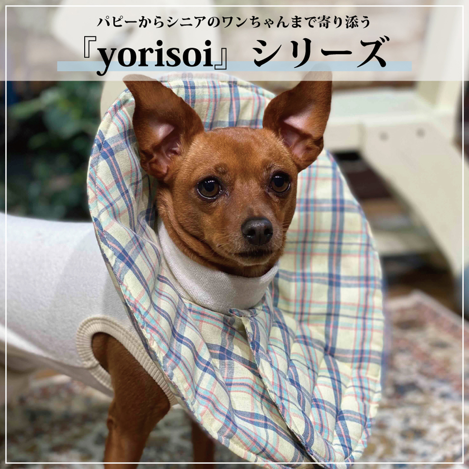 デワン | 愛犬とママ パパのお揃いコーデも取り扱う犬服通販サイト