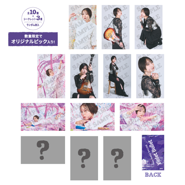 ランダムトレーディングカード (全10種＋シークレット4種/ランダム3枚