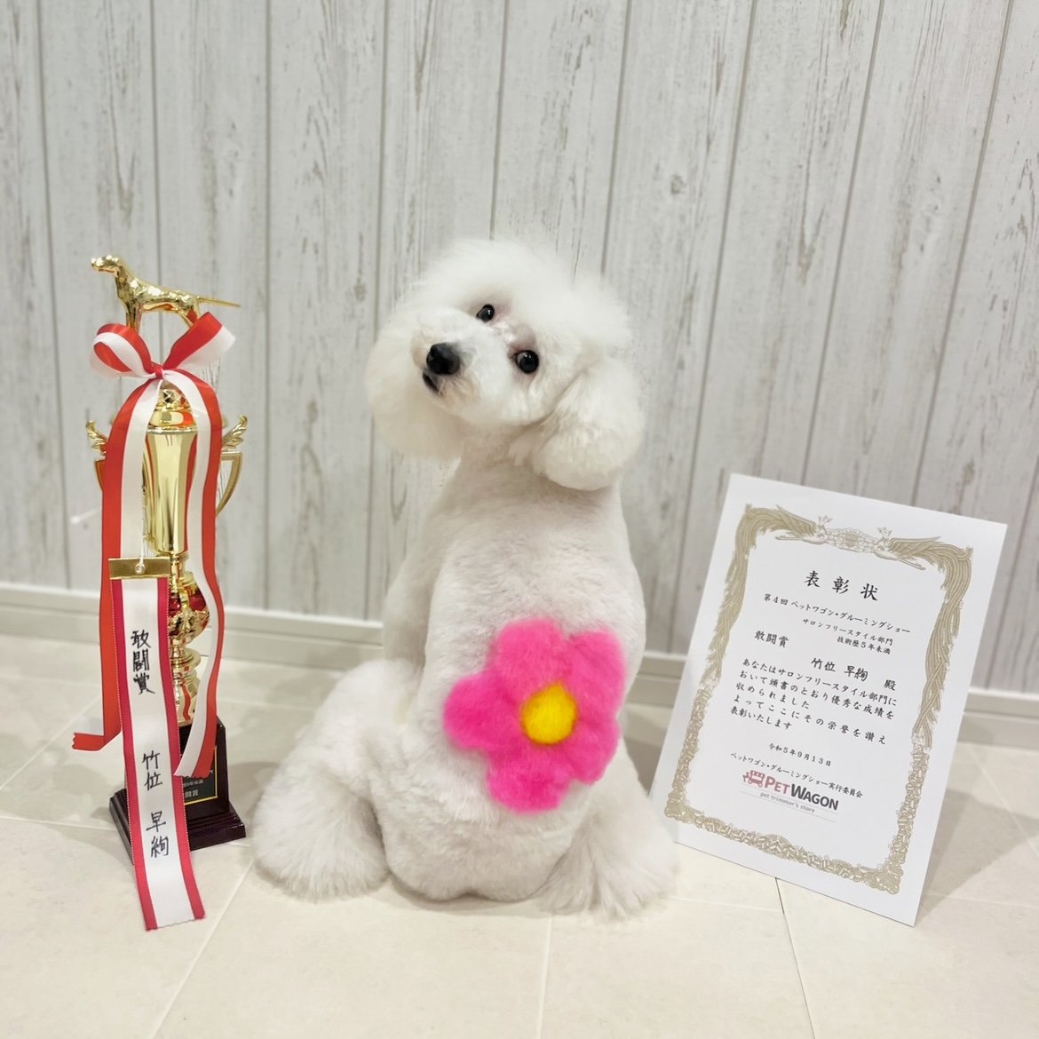 Dog Fashion & Beauty Week | Groomer | 竹位 早絢 | organic salon