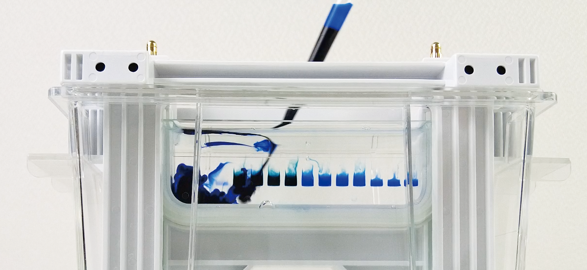 WSE-7067 EzBlueNative Additive | 泳動バッファー | 電気泳動試薬