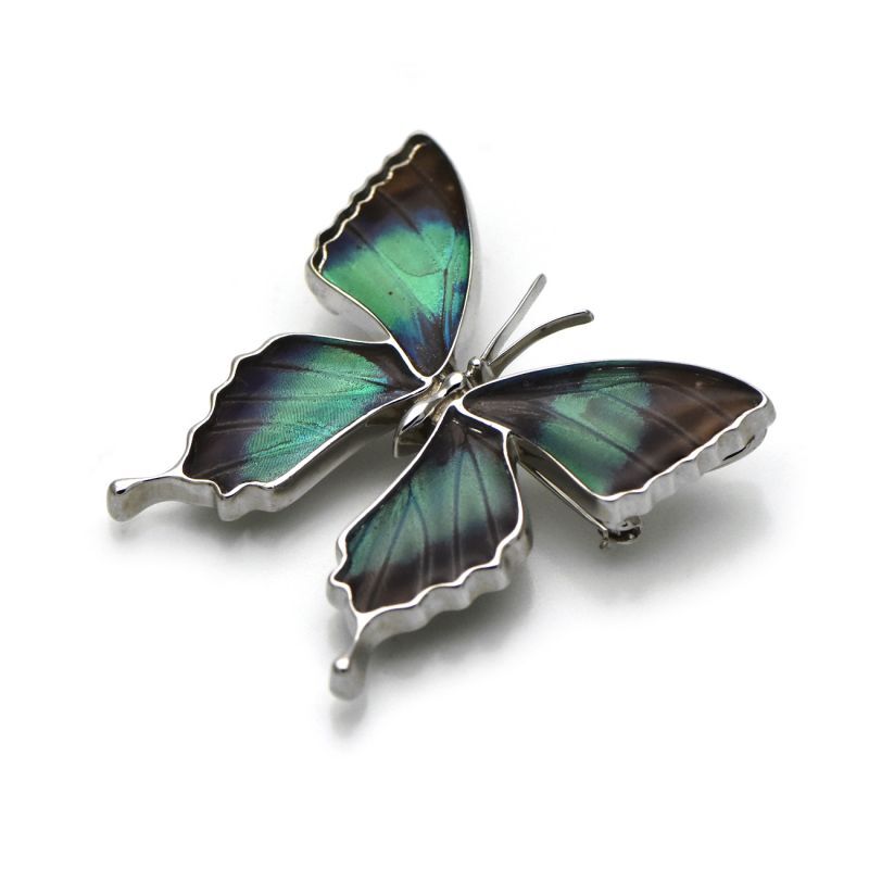 ドクソコパチェルビナ 蝶の翅 ブローチ兼ペンダント シルバー925