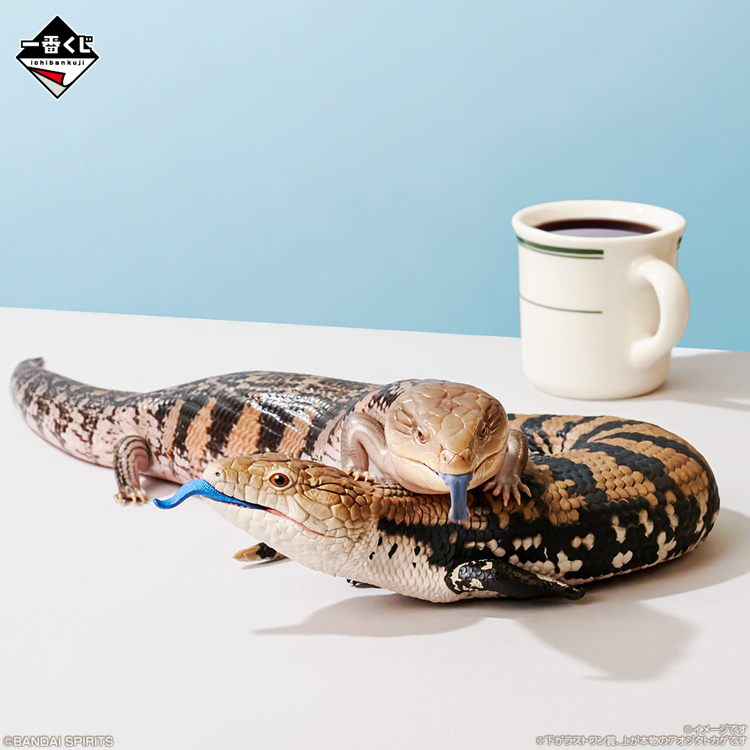 爬虫類＆両生類」だけの一番くじ 第2弾が7月25日より登場！ | 株式会社