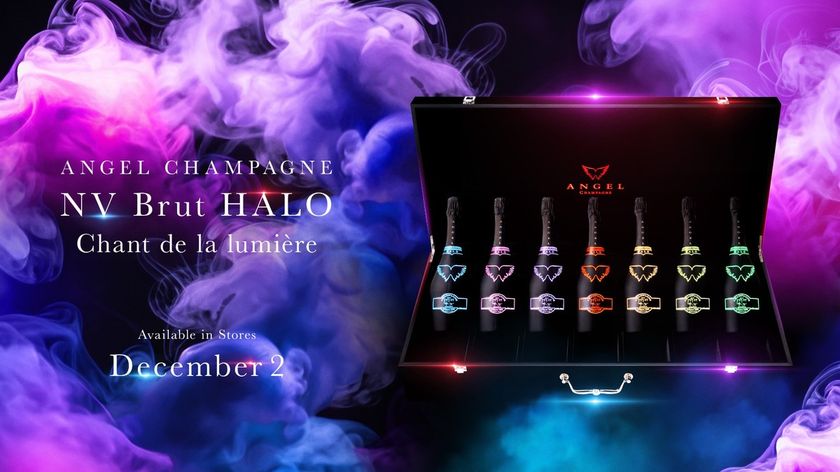 シャンパーニュブランド「ANGEL CHAMPAGNE」、新色「NV Brut HALO