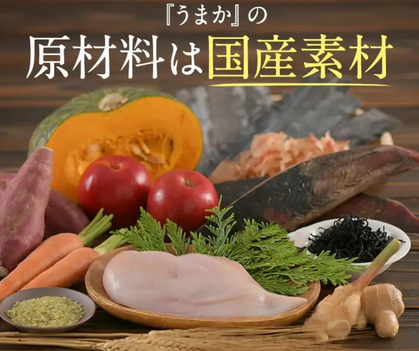 博多華味鳥」が手掛ける【プレミアムドッグフードうまか】が 2023年3月
