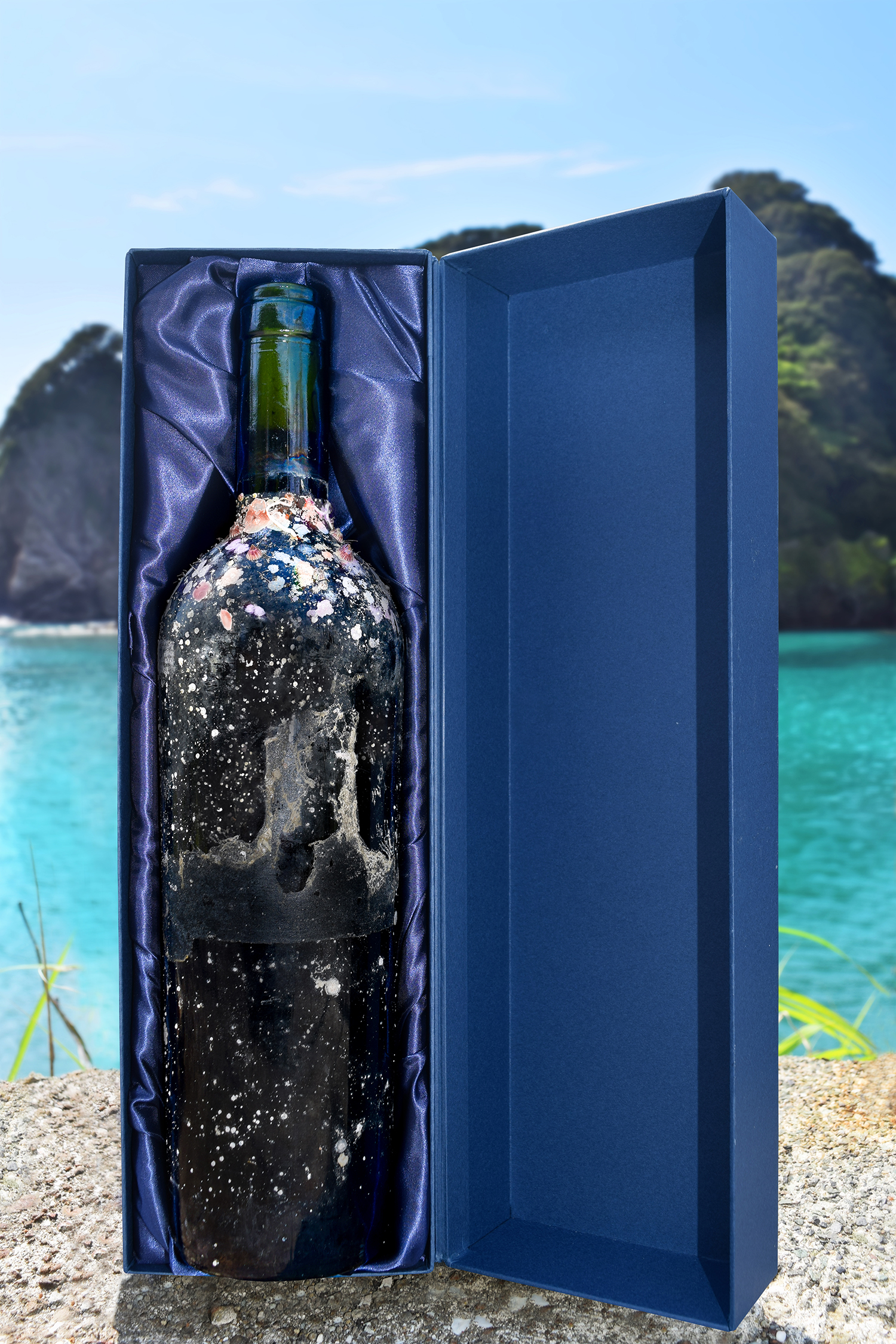 限定3,000本！西伊豆 海底熟成ワイン「VOYAGE」を6/25に発売 ～自然が