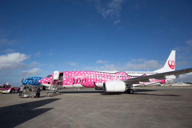 ほぼ新品】JTAさくらジンベエ Boeing 737-800 1/130 ジンベエ塗装が