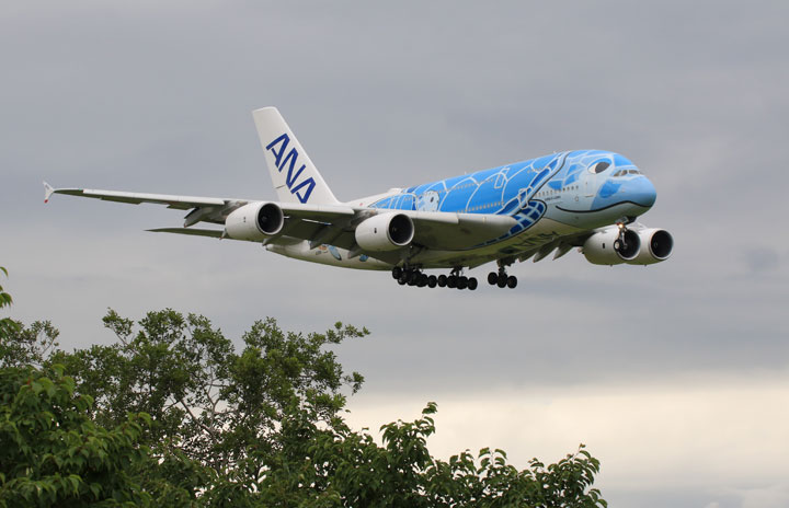 200623_yk7352_A380_ana-720.jpg