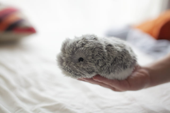 AIペット型ロボット モフリン グレー CASIO AIペット Moflin（モフリン