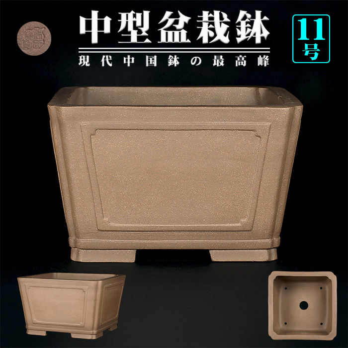 351 盆栽 盆栽鉢 植木鉢 中国鉢 351 盆栽 盆栽鉢 植木鉢 中国鉢 351 盆栽