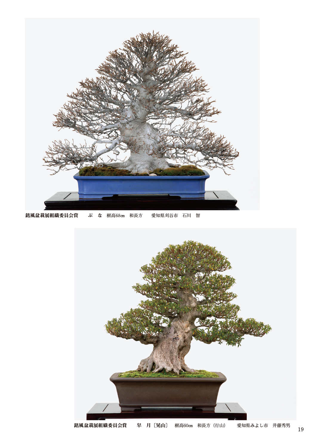 第93回 銘風盆栽展 記念帖 | 盆栽、盆栽書籍、盆栽鉢の通販│近代出版