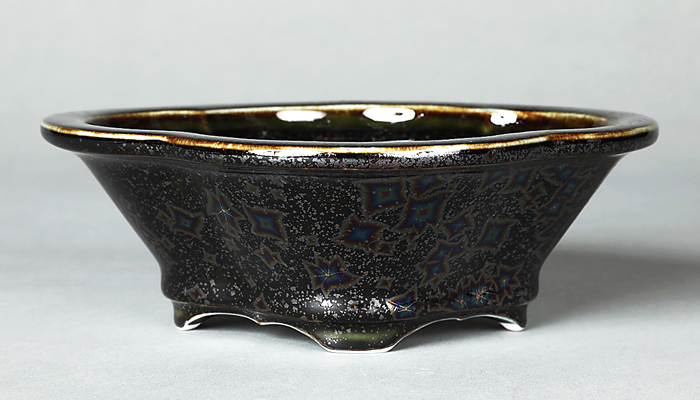 平安泉山黒釉星結晶木瓜式鉢(小) | 盆栽、盆栽書籍、盆栽鉢の通販