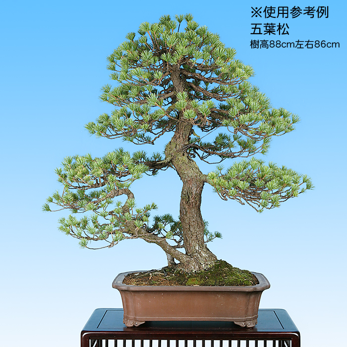 薪焼六方盆 紫砂の鉢 盆栽鉢 植木鉢 小品盆栽鉢 大品盆栽鉢 HATIMANIA