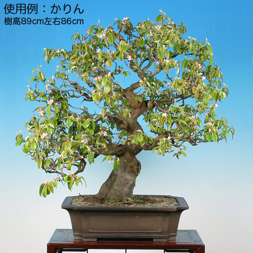 011.【寿悦】烏泥鼡俵鉢/ミニ盆栽鉢/木箱付き 011.【寿悦】烏泥鼡俵鉢