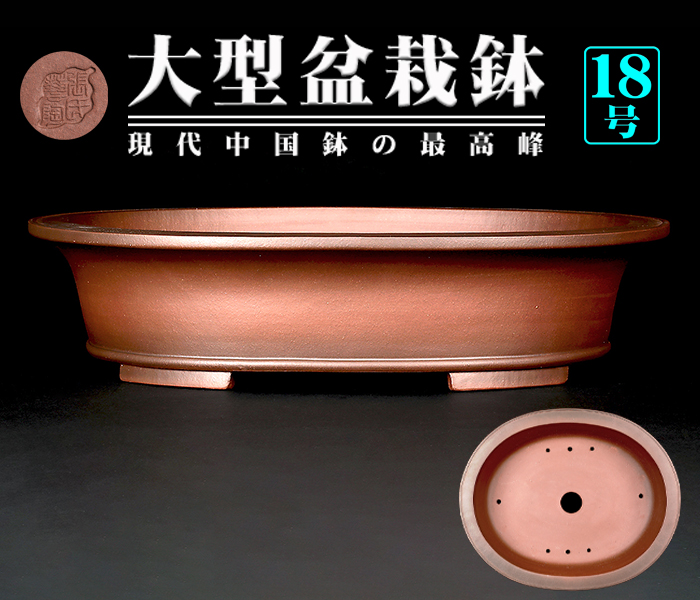 紫泥外縁下紐楕円鉢 | 盆栽、盆栽書籍、盆栽鉢の通販│近代出版